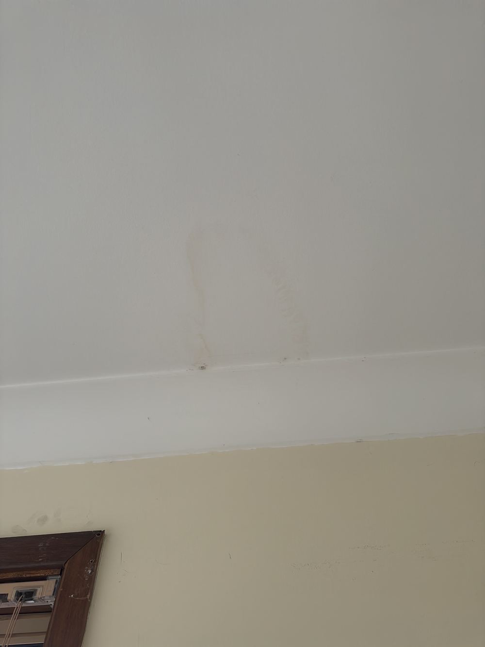 Water stains on a bedroom ceiling, the source still to be traced, found during a pre-purchase building and pest inspection in Castle Hill
