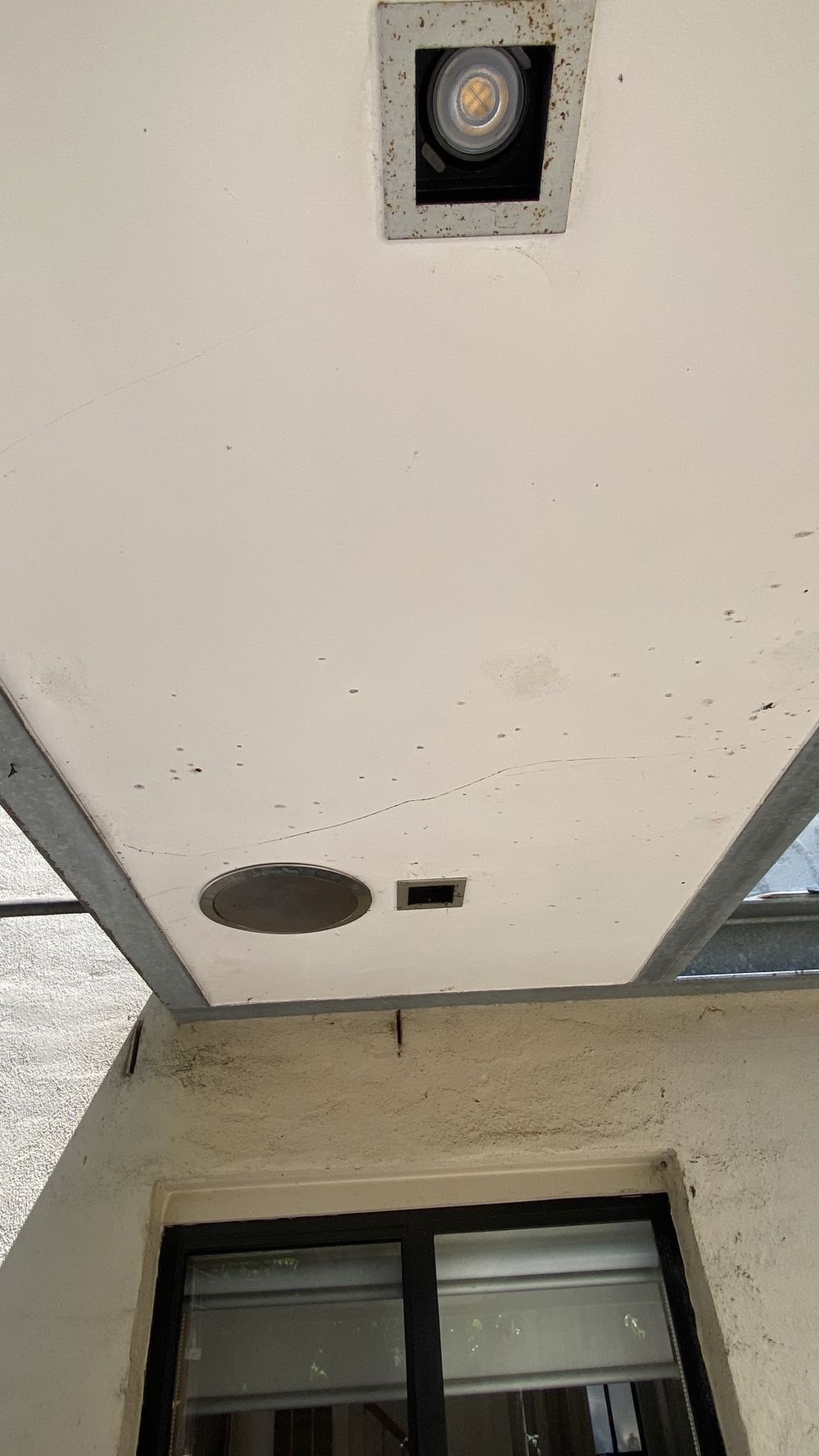 Mould growing on the rear alfresco eaves lining, found during a pre-purchase building and pest inspection in Castle Hill