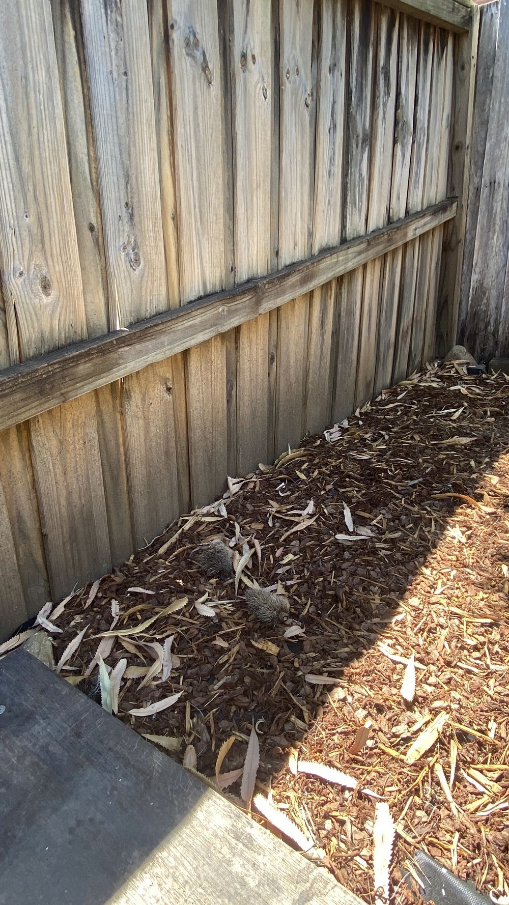 Building and Pest Inspections in Castle Hill